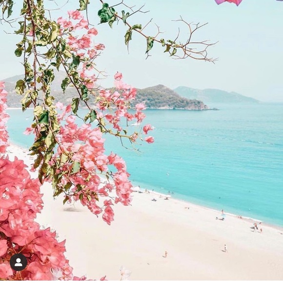 Meet your Posher, Katherine - Picture 1 of 1